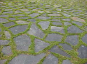 Irregular slate paving slate flagstone