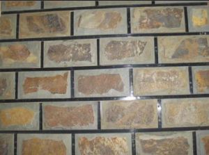 Exterior wall tiles cover decorative natural grey cultural stone cladding slate
