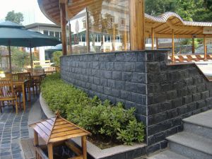 Black Mushroom Slate