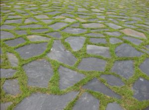 Random Irregular Paving Slate